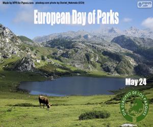 Puzzle Ευρωπαϊκή Ημέρα Πάρκων